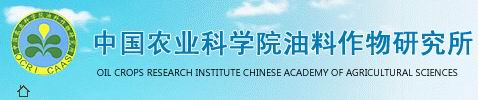 继续浏览时优先选择同栏目或相近主题