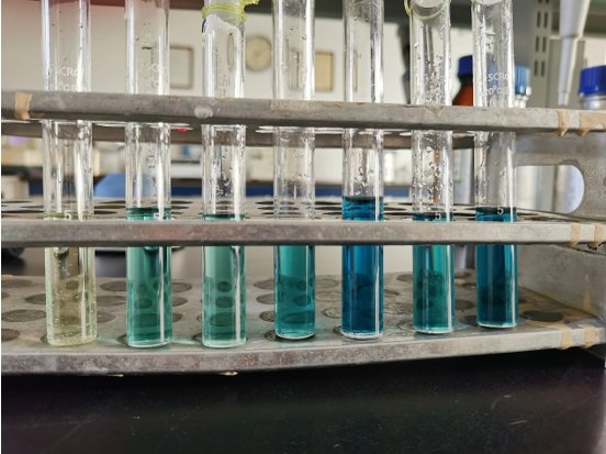 它的作用是抑制霉菌