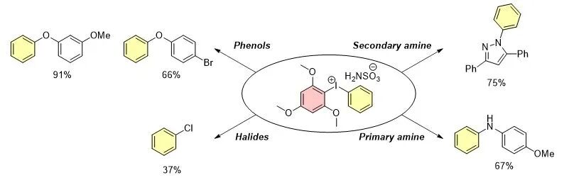 为相关功能分子的构建提供了简便途径